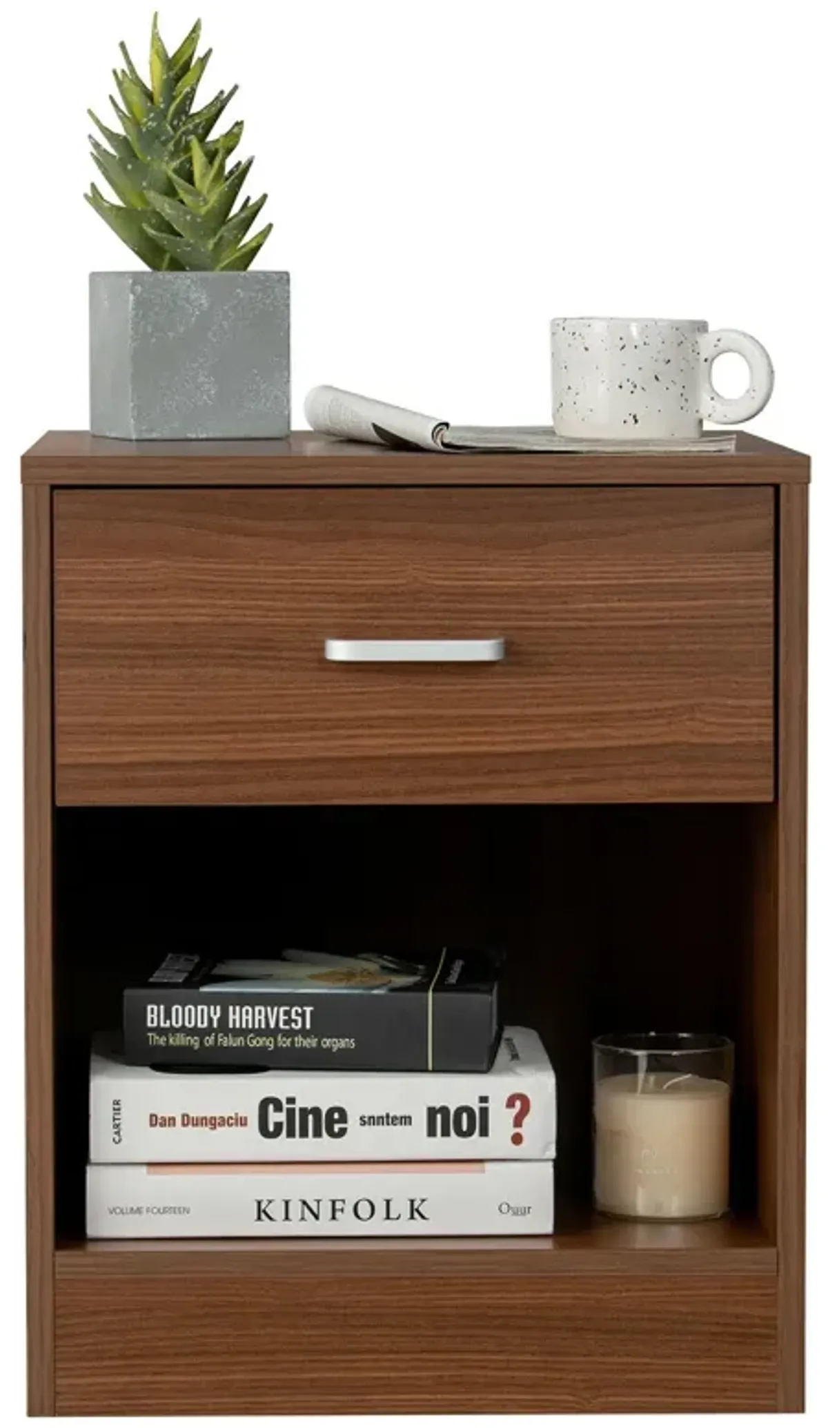 Modern Nightstand with Storage Drawer and Cabinet