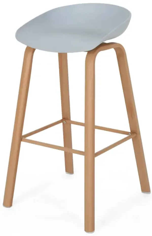 Modern Minimalist Barstools with Curved Frame and Iron Legs (Set of 2)