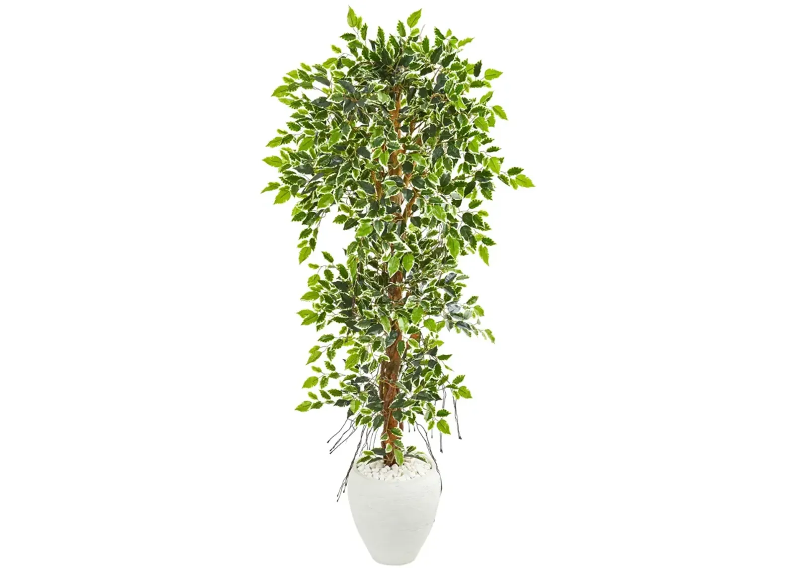 HomPlanti 5.5 Feet Elegant Ficus Artificial Tree in White Planter