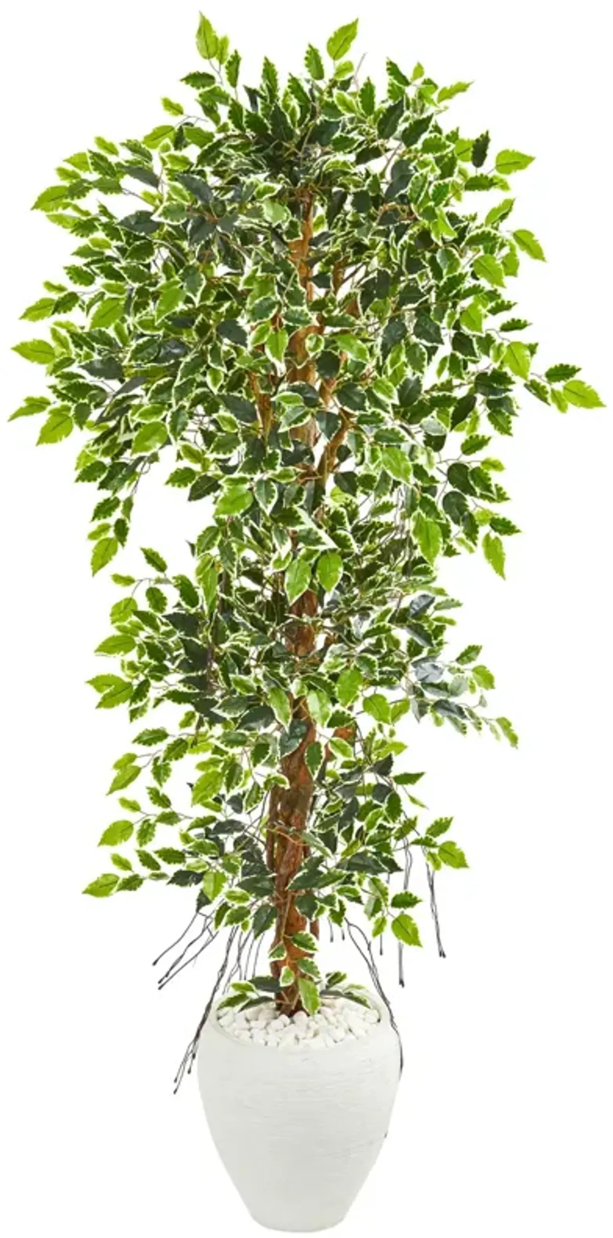 HomPlanti 5.5 Feet Elegant Ficus Artificial Tree in White Planter