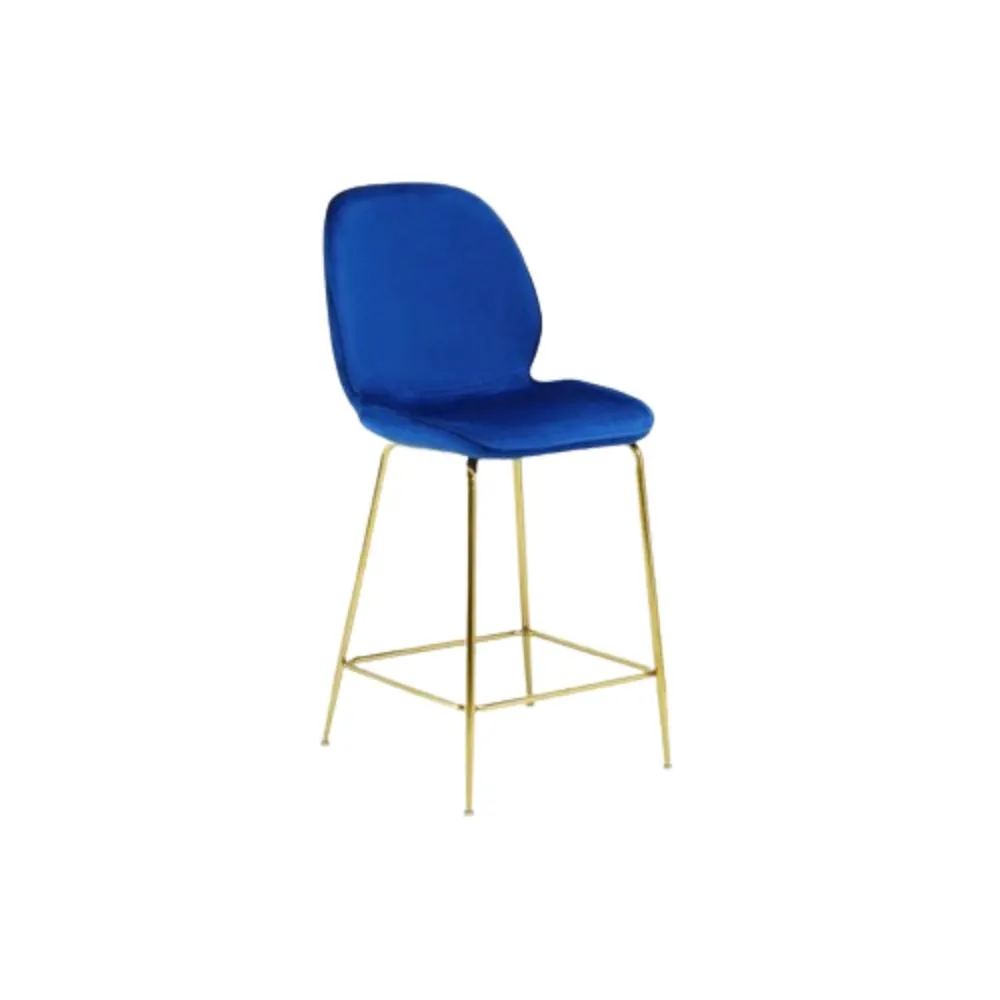 Best Master Preston 24" Velvet Counter Stool in Blue (Set of 2)