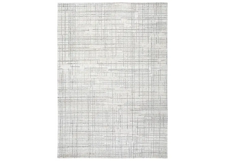 Janston 5' x 7' Rug