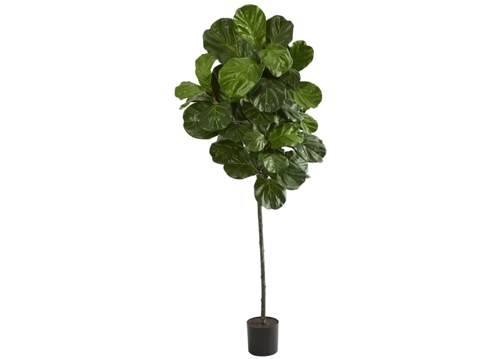 HomPlanti 6.5 Feet Fiddle Leaf Artificial Tree