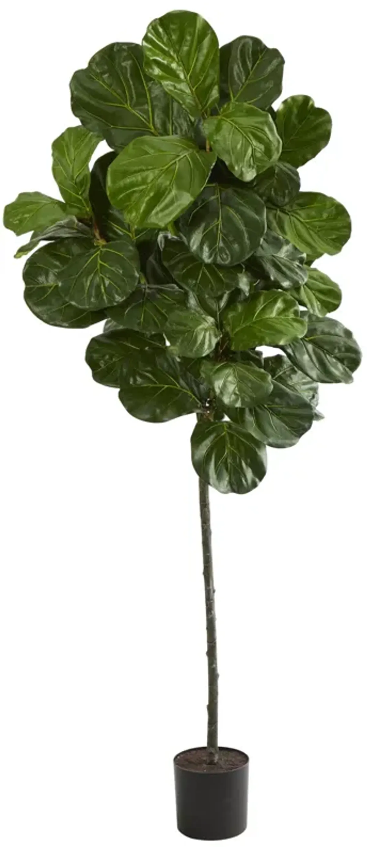 HomPlanti 6.5 Feet Fiddle Leaf Artificial Tree