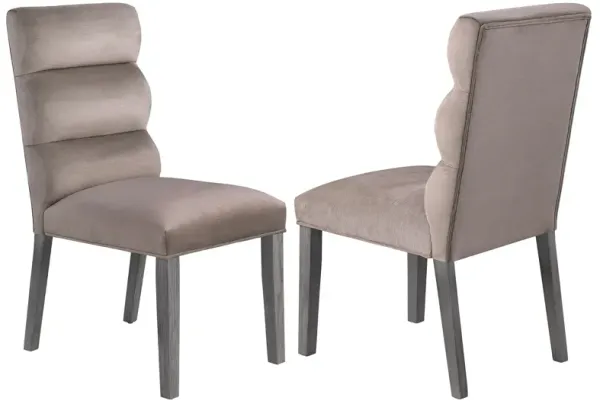 Cary Dining Chair Set of 2, Ash Gray Fabric, Tufted Foam Filled Cushion - Benzara