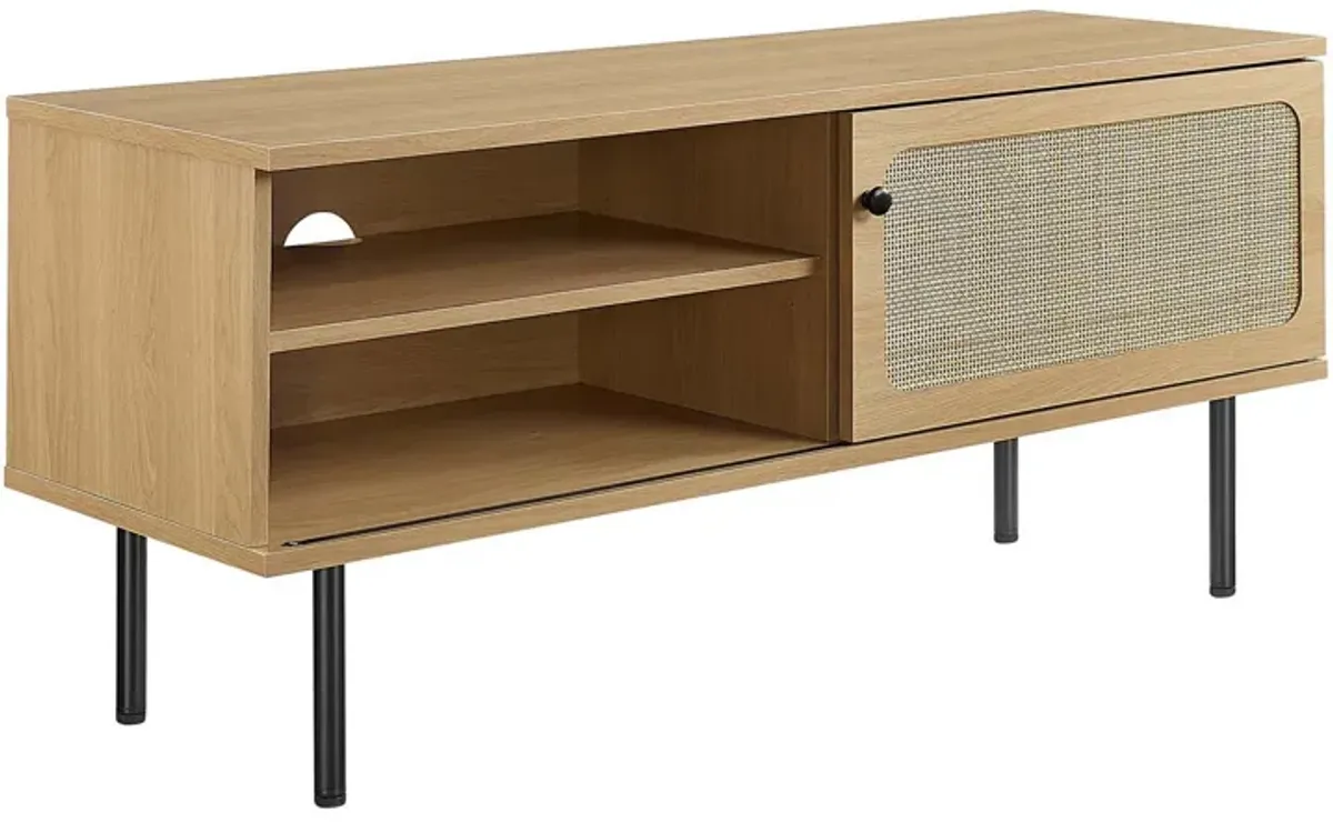 Cambria 47" TV Stand-Benzara