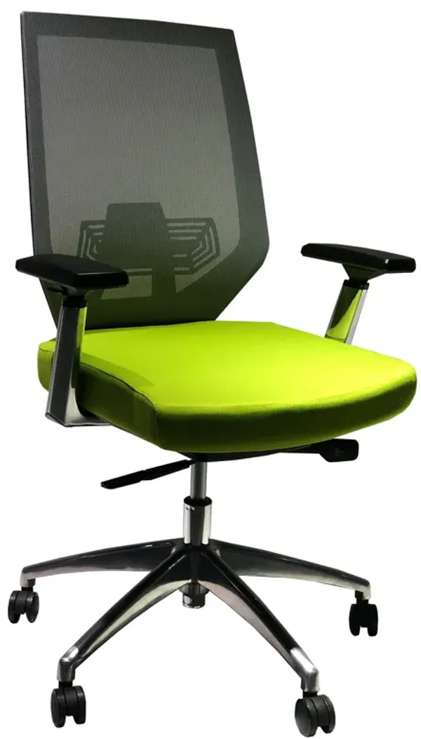 Adjustable Mesh Back Ergonomic Office Swivel Chair with Padded Seat and Casters, Green and Gray-Benzara