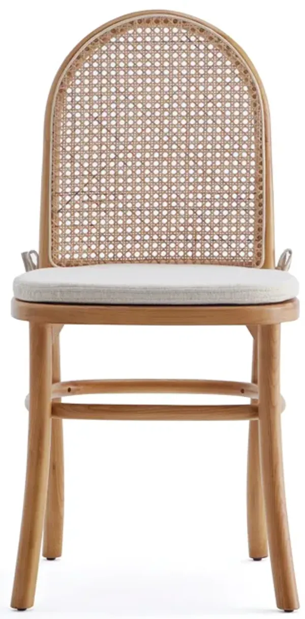 Paragon Brown Dining Chairs (Set of 2)