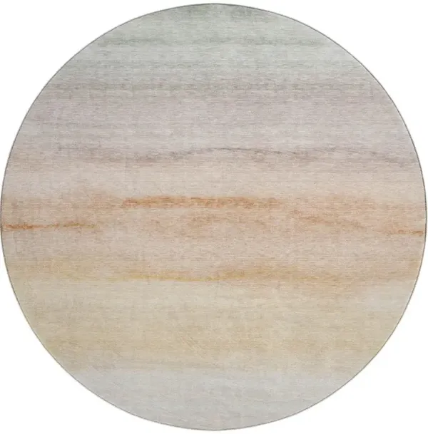 Pacifica PA8 Coral 8' Rug