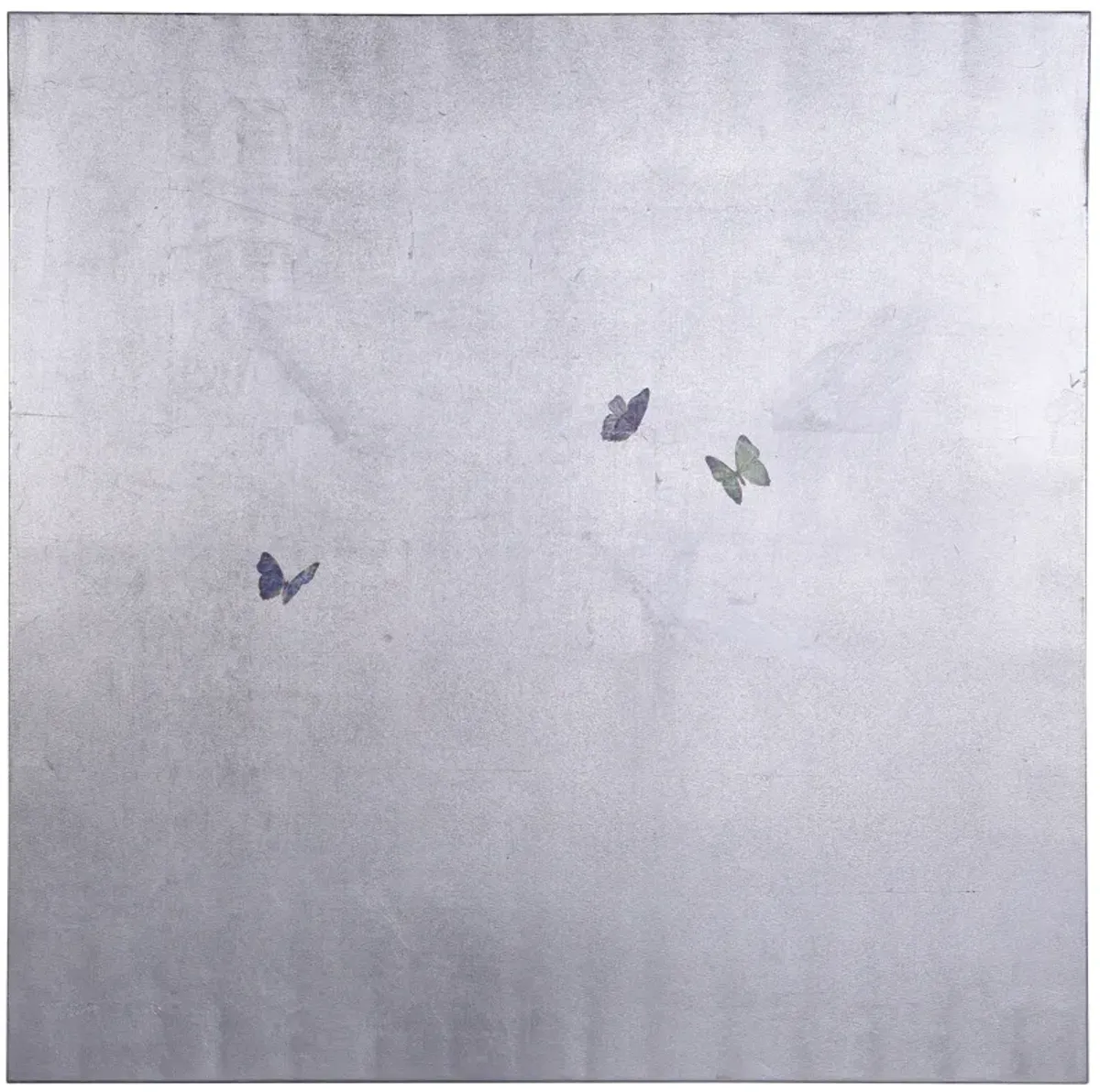 Silver Butterflies