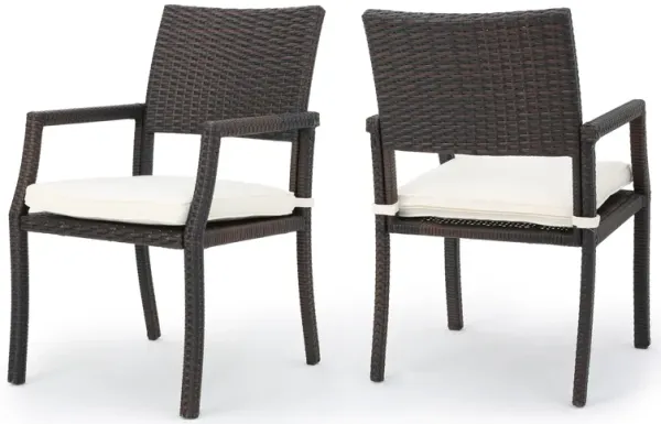 Roeh Outdoor Dining Chair Set of 2, Contemporary Wicker and Brown Fabric