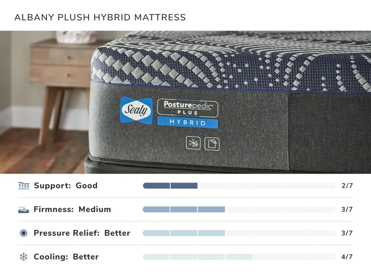 Albany Plush Hybrid King Mattress