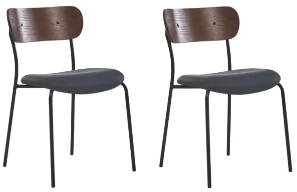 Set of 2 Industrial Metal Wood Dining Chairs