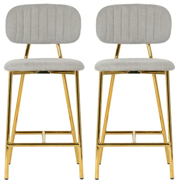 Ariana Grey Counter Stool (Set of 2)