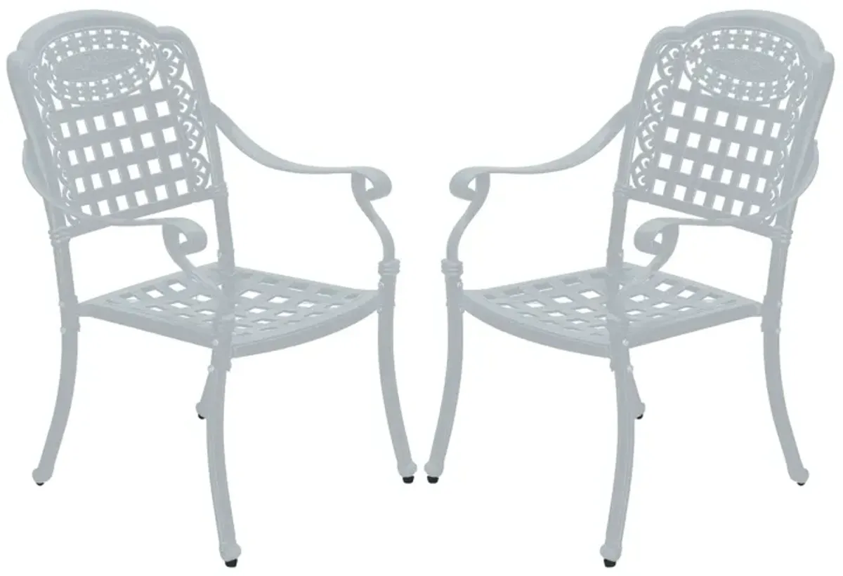 MONDAWE Cast Aluminum Patio Dining Chairs Outdoor Armchair (Set of 2)