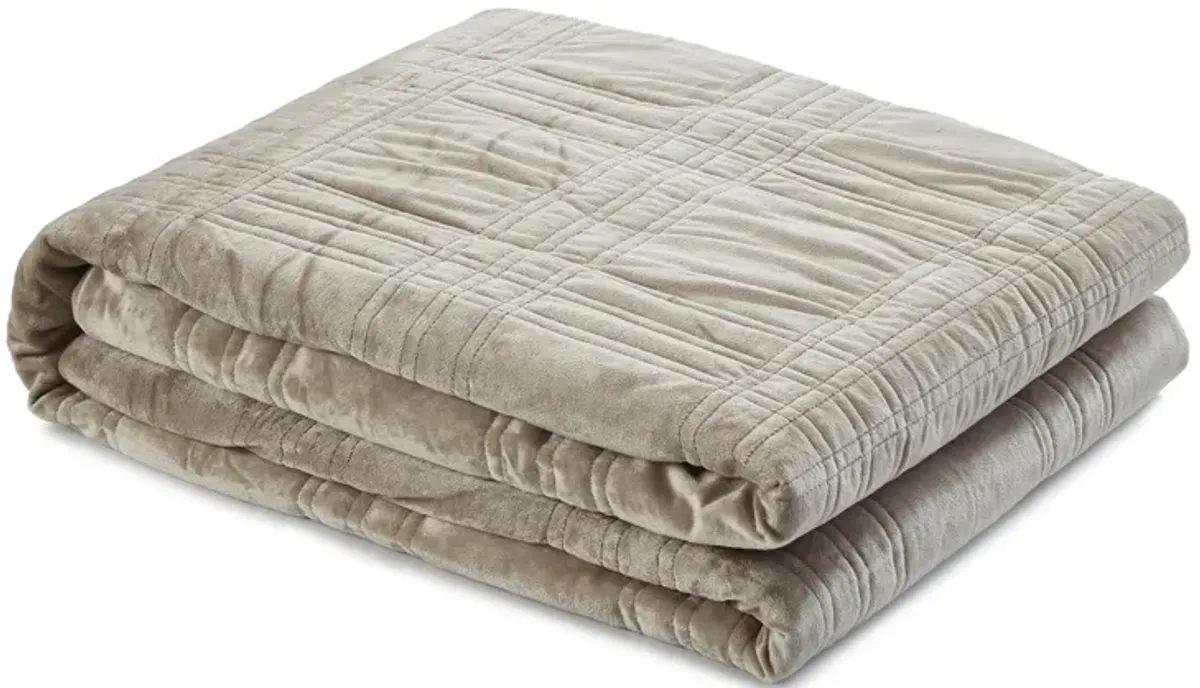 Cozy Tyme Isoke Weighted Blanket 12 Pound 48"x72" Twin Size