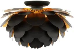 Black color