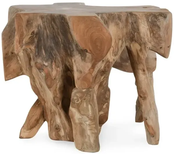 Cypress Teak Root End Table