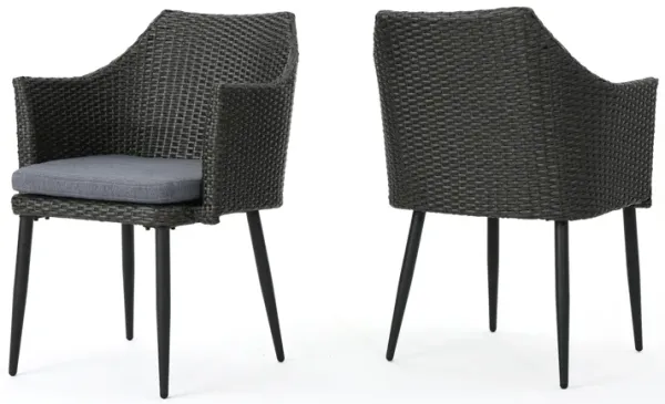Kenny Outdoor Accent Chair Set of 2, Gray Polyester, PE Rattan, Iron