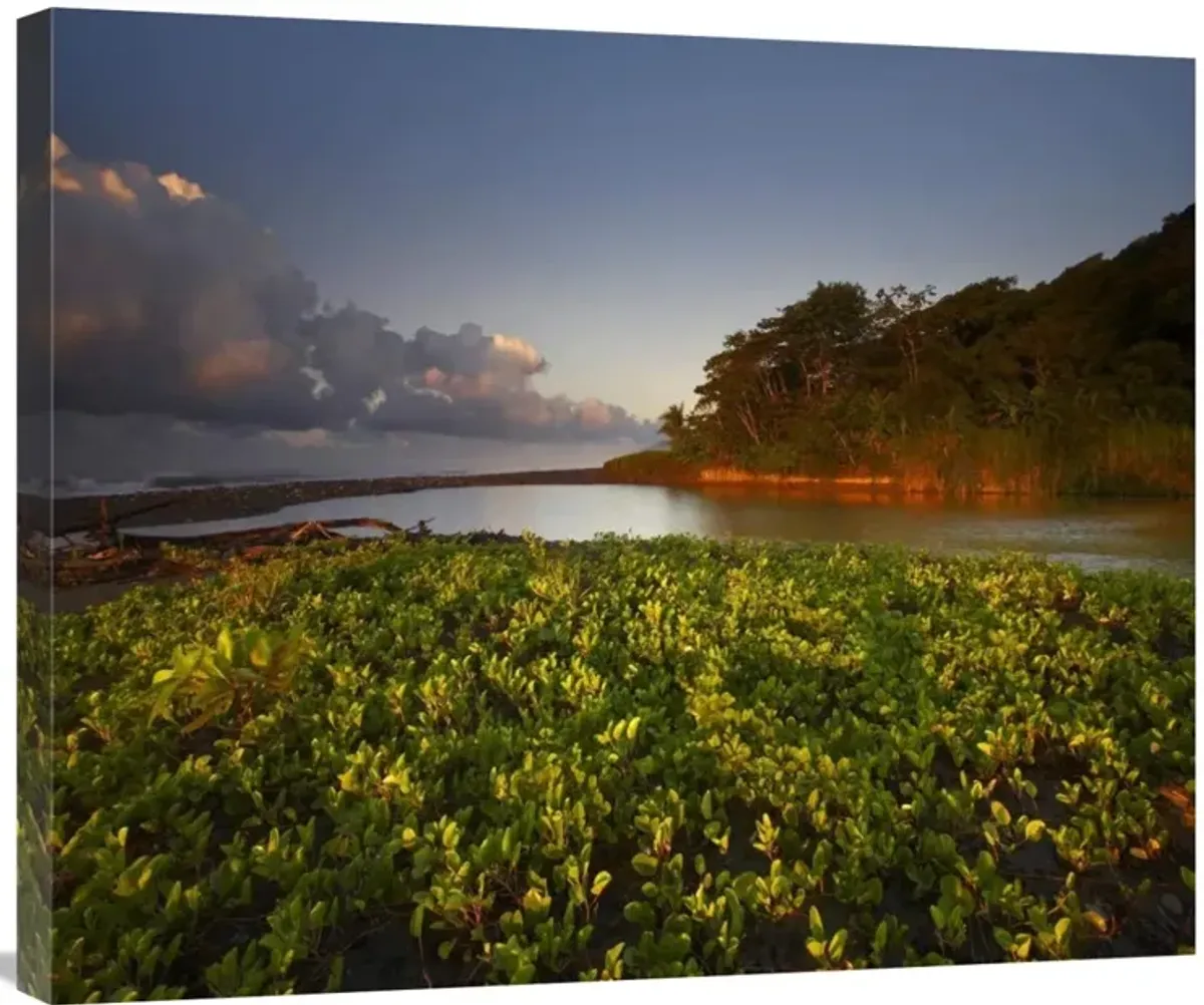 Lagoon near coastline, Corcovado National Park, Costa Rica-Canvas Art-30x25.2