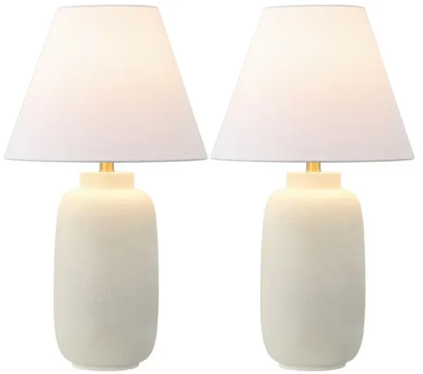 Elinore 24.5" Minimalist Scandinavian Resin/Iron Ginger Jar LED Table Lamp