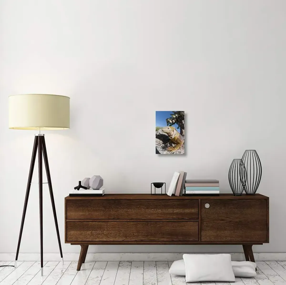 Galapagos Land Iguana basking, Galapagos Islands, Ecuador-Canvas Art-12x18