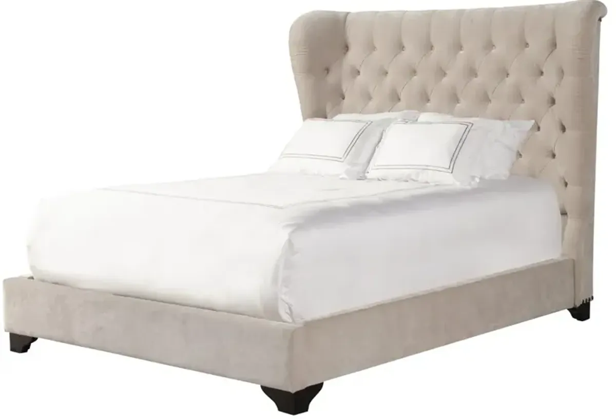 Parker Living Sleep Chloe - Meringue Queen Bed