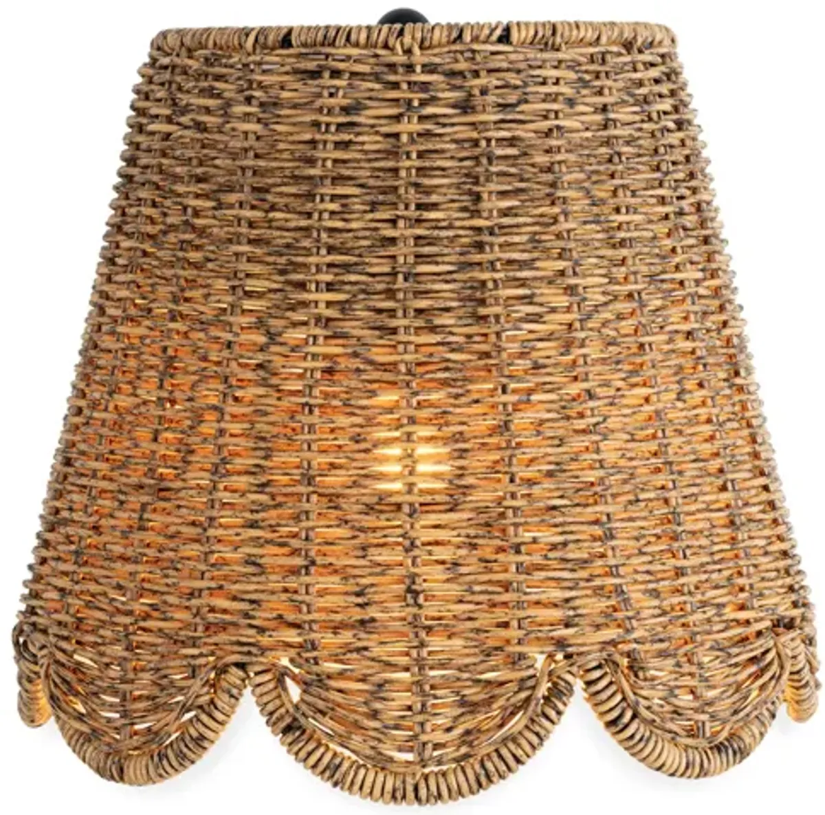 Summer Outdoor Sconce