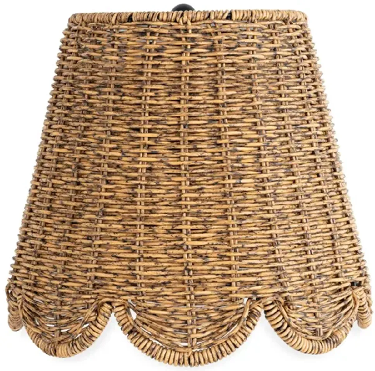 Summer Outdoor Sconce