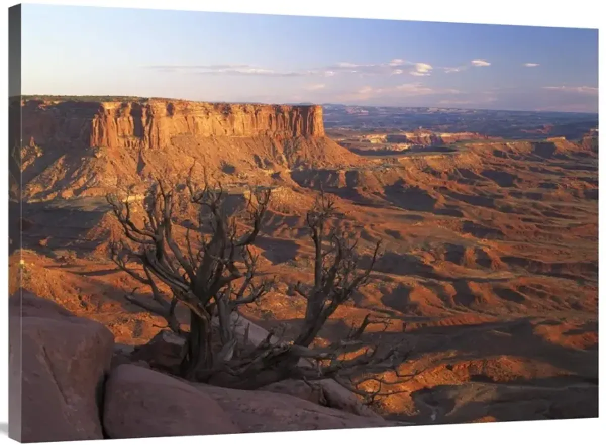 View from Green River overlook, Canyonlands National Park, Utah-Canvas Art-40x30