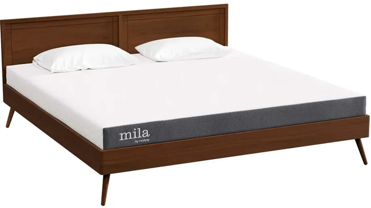 Mila 6" King Mattress