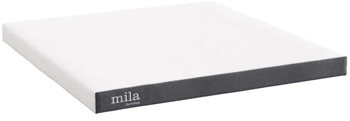 Mila 6" King Mattress