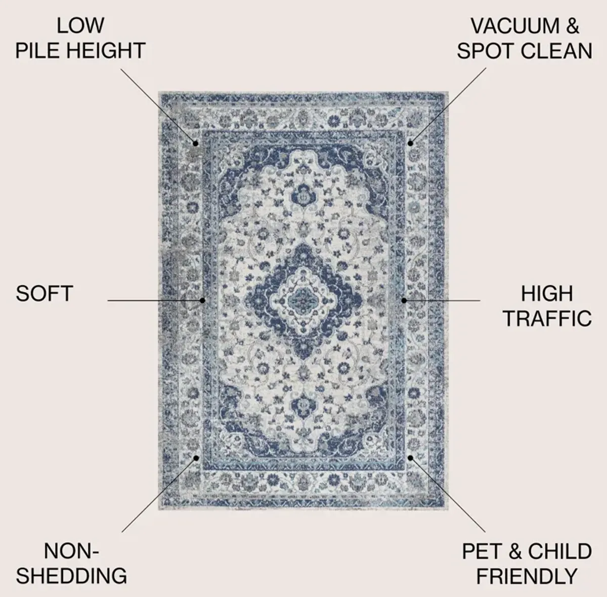 Indhira Ornate Medallion Persian Area Rug