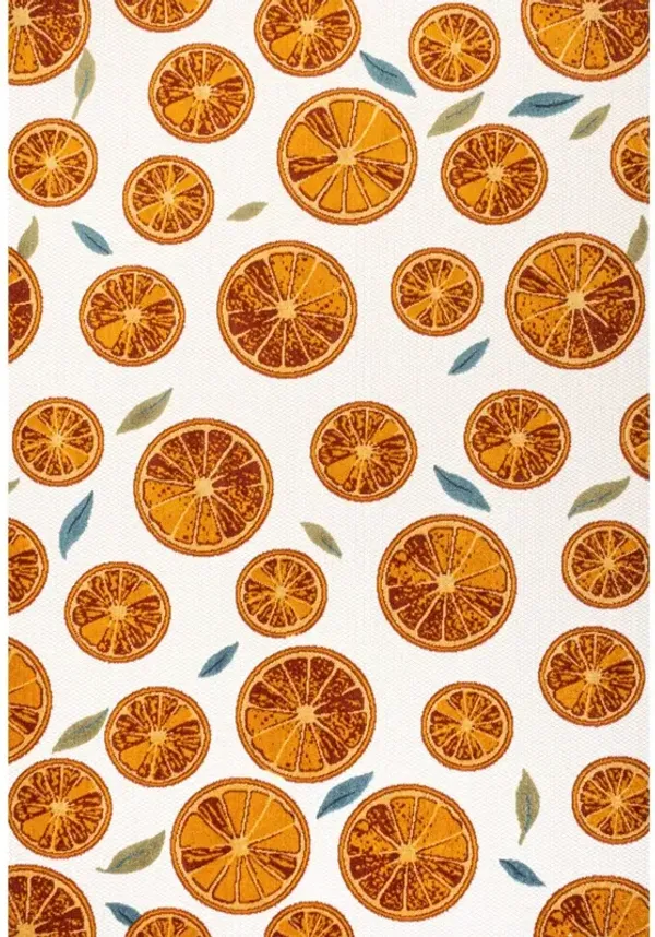 Aranciata Citrus Slice High-Low Indoor/Outdoor Area Rug
