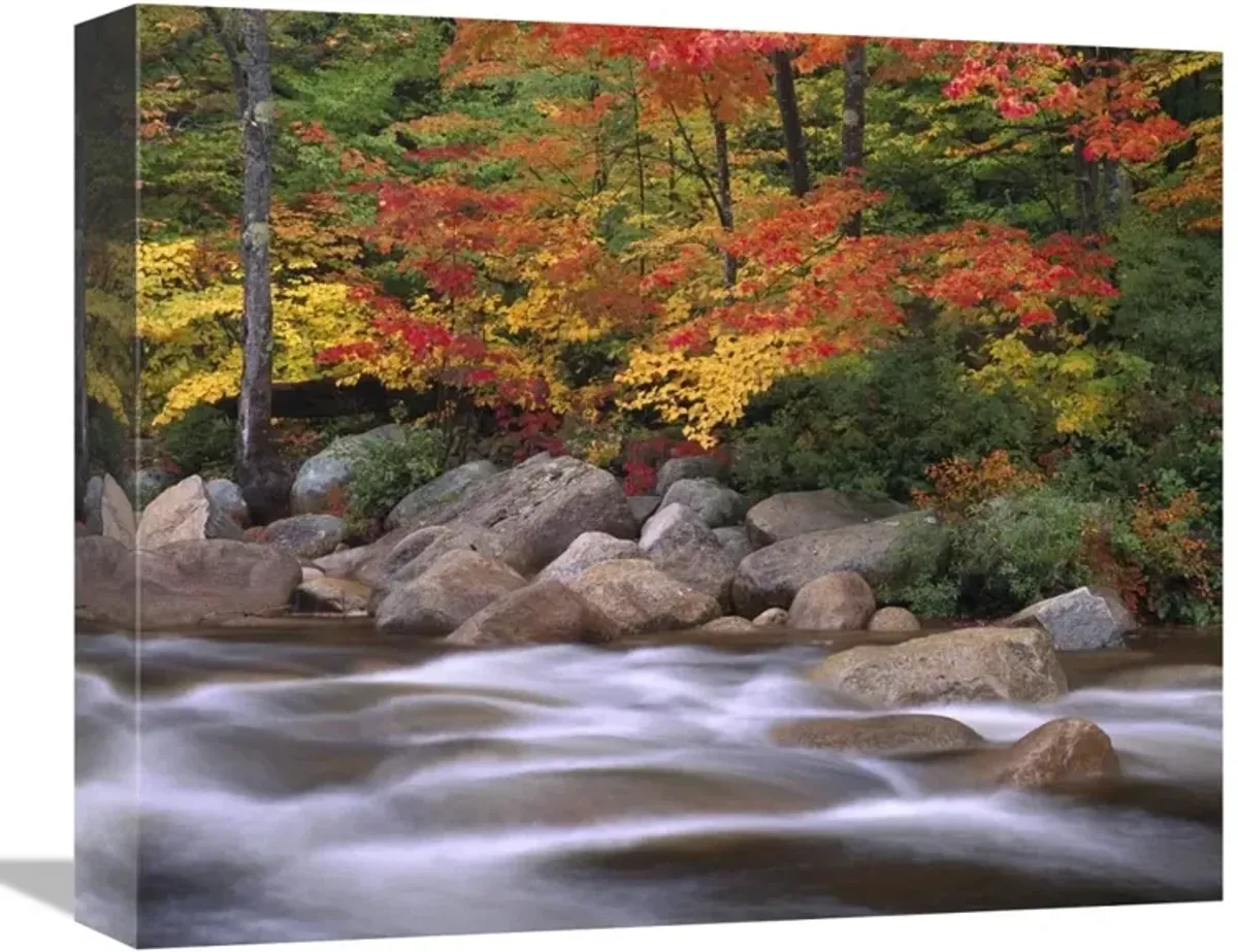 Autumn along Swift River, White Mountains National Forest, New Hampshire-Canvas Art-16x13.28