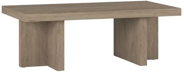 Hudson&Canal Dimitra 44 Wide Rectangular Coffee Table in Antiqued Gray Oak