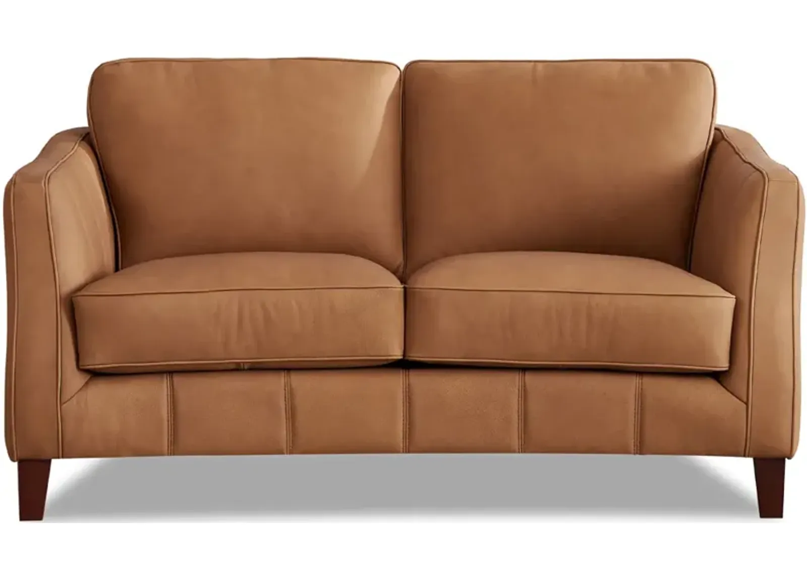 Aria Top Grain Leather Loveseat