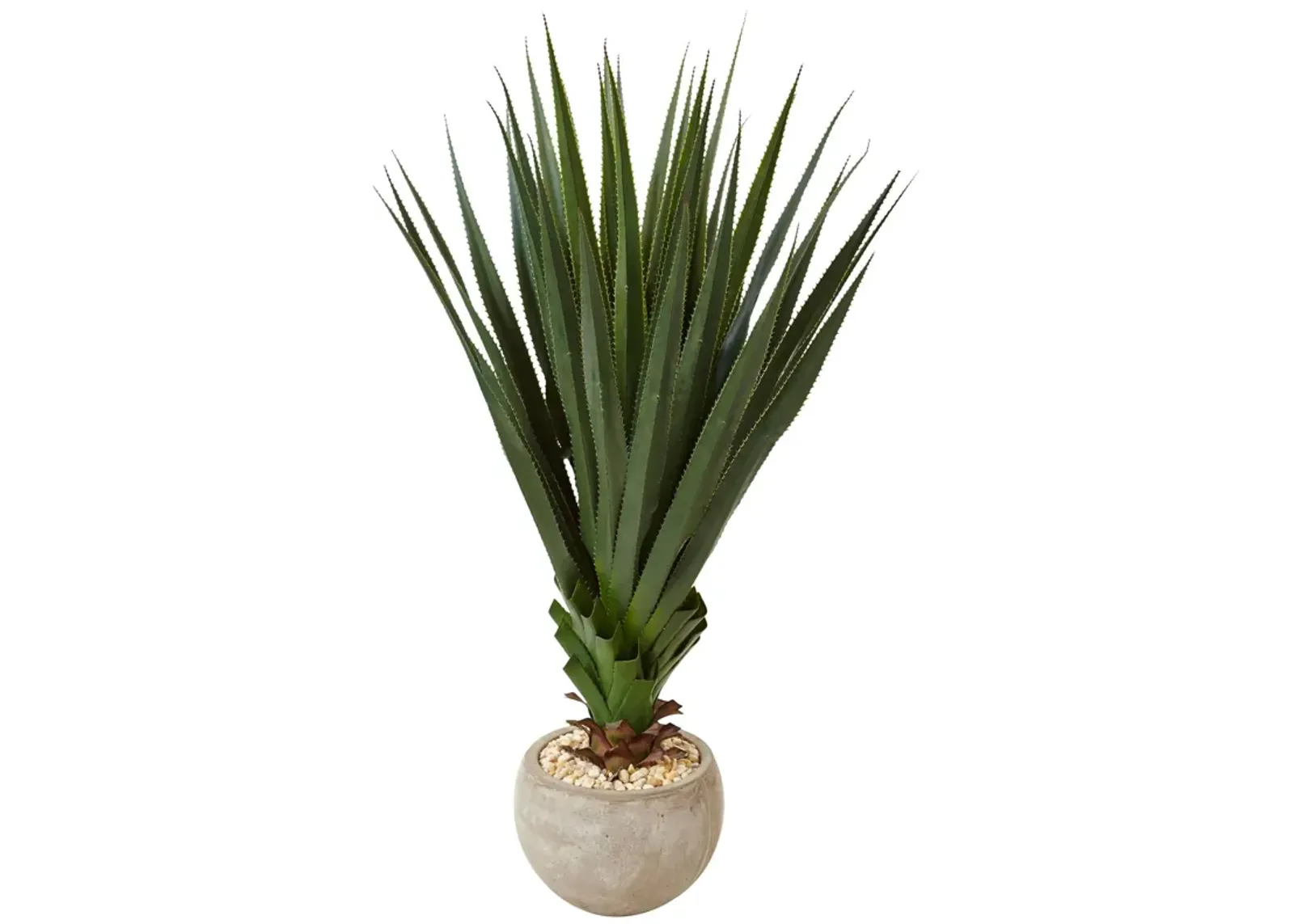 HomPlanti Spiked Agave in Sand Colored Bowl (Indoor/Outdoor)