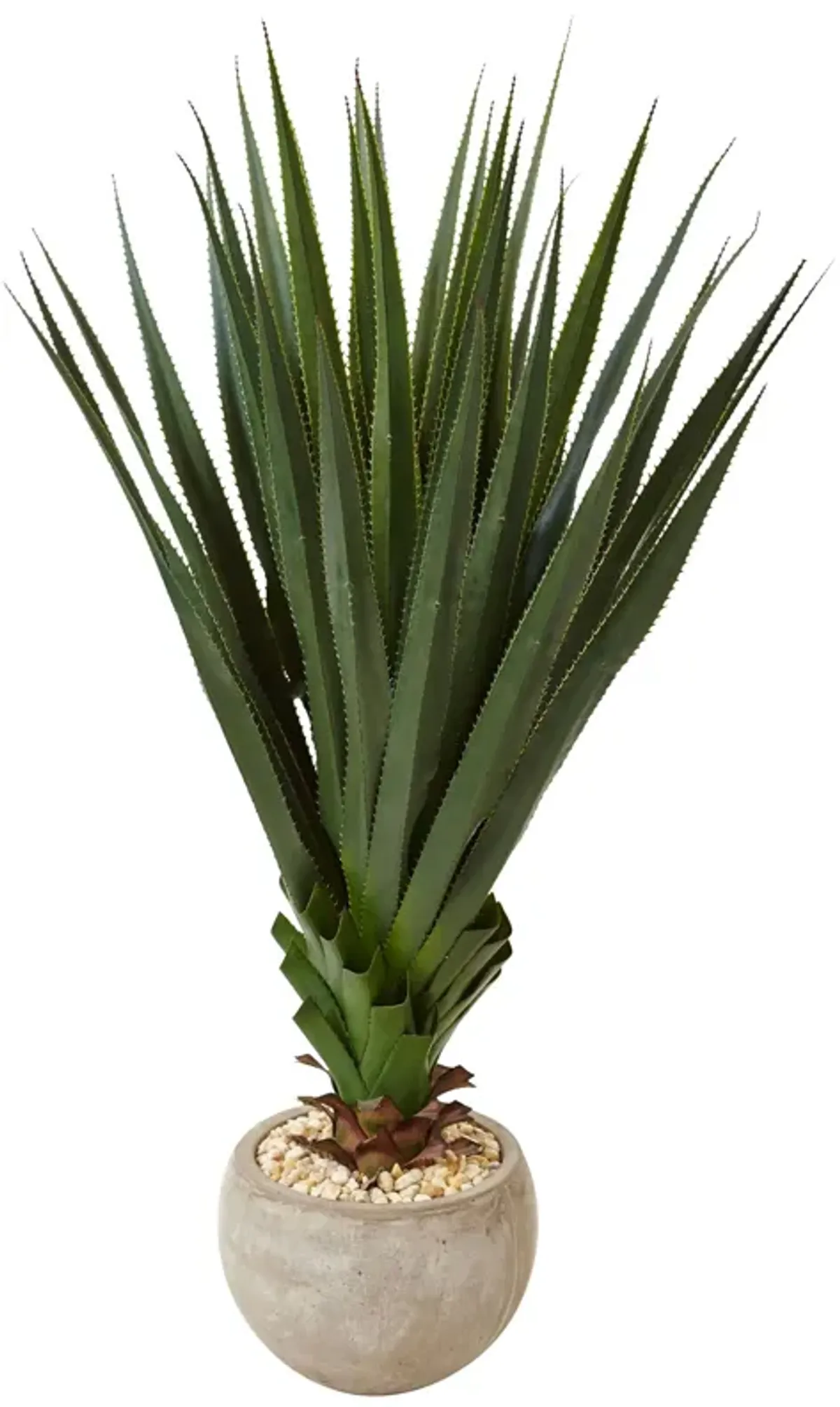 HomPlanti Spiked Agave in Sand Colored Bowl (Indoor/Outdoor)