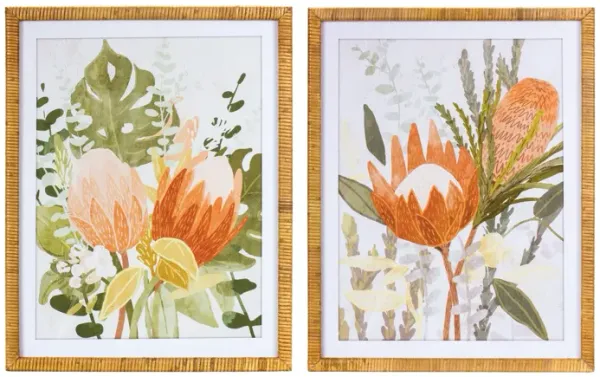 Framed Protea Floral Wall Art (Set of 2)