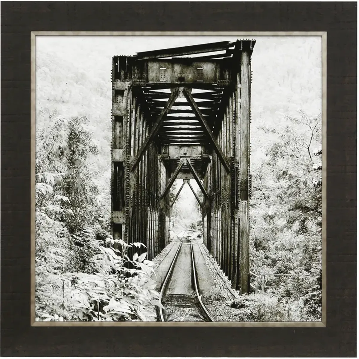 Along The Tracks II Framed Print