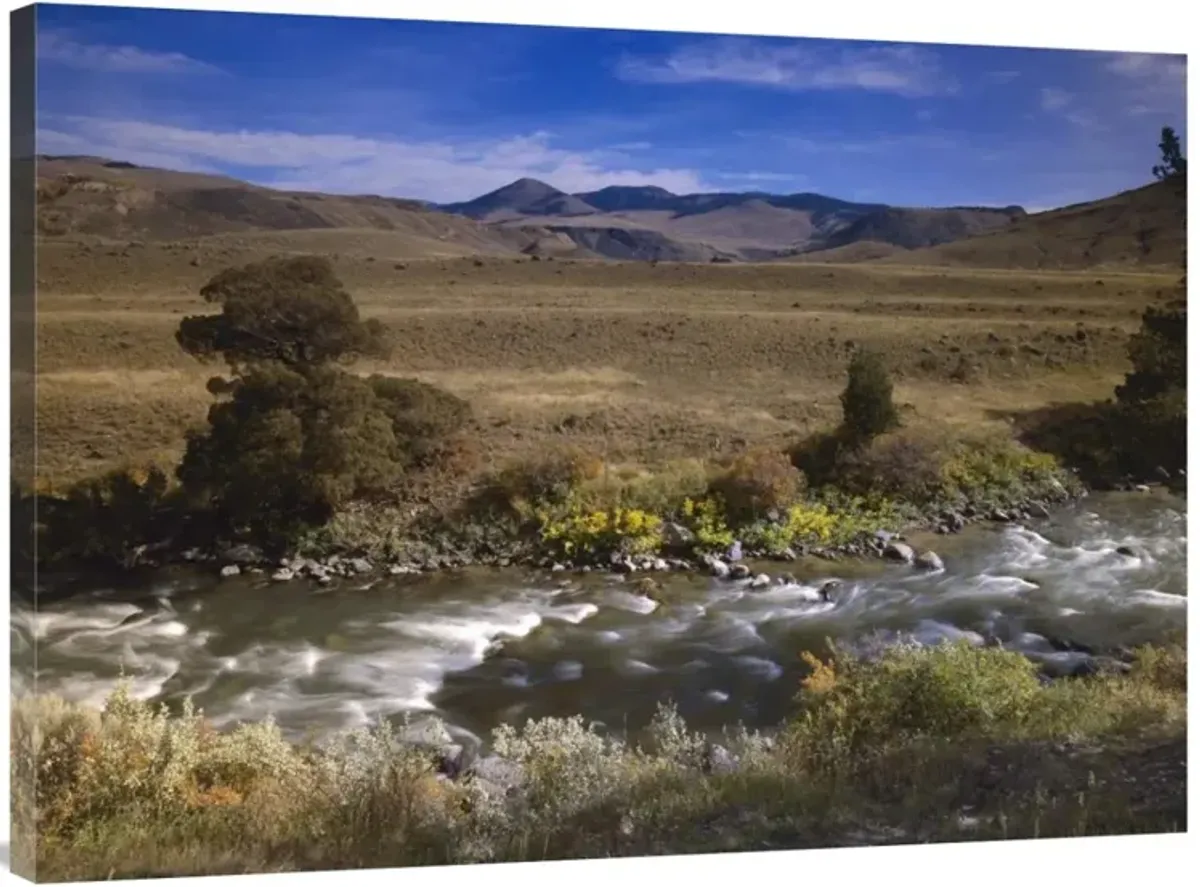 River flowing though meadow, Yellowstone National Park, Wyoming-Canvas Art-40x30