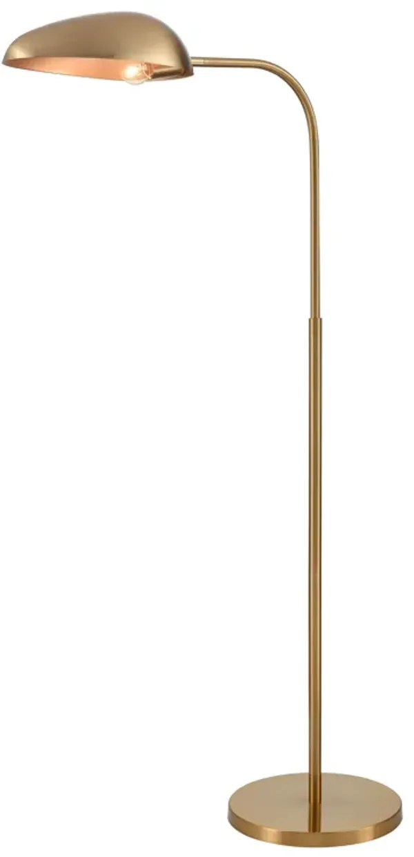 Alda 53.5" 1-Light Floor Lamp