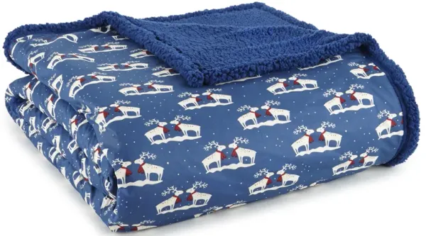 Micro Flannel Reverse to Sherpa Blanket, Full/Queen