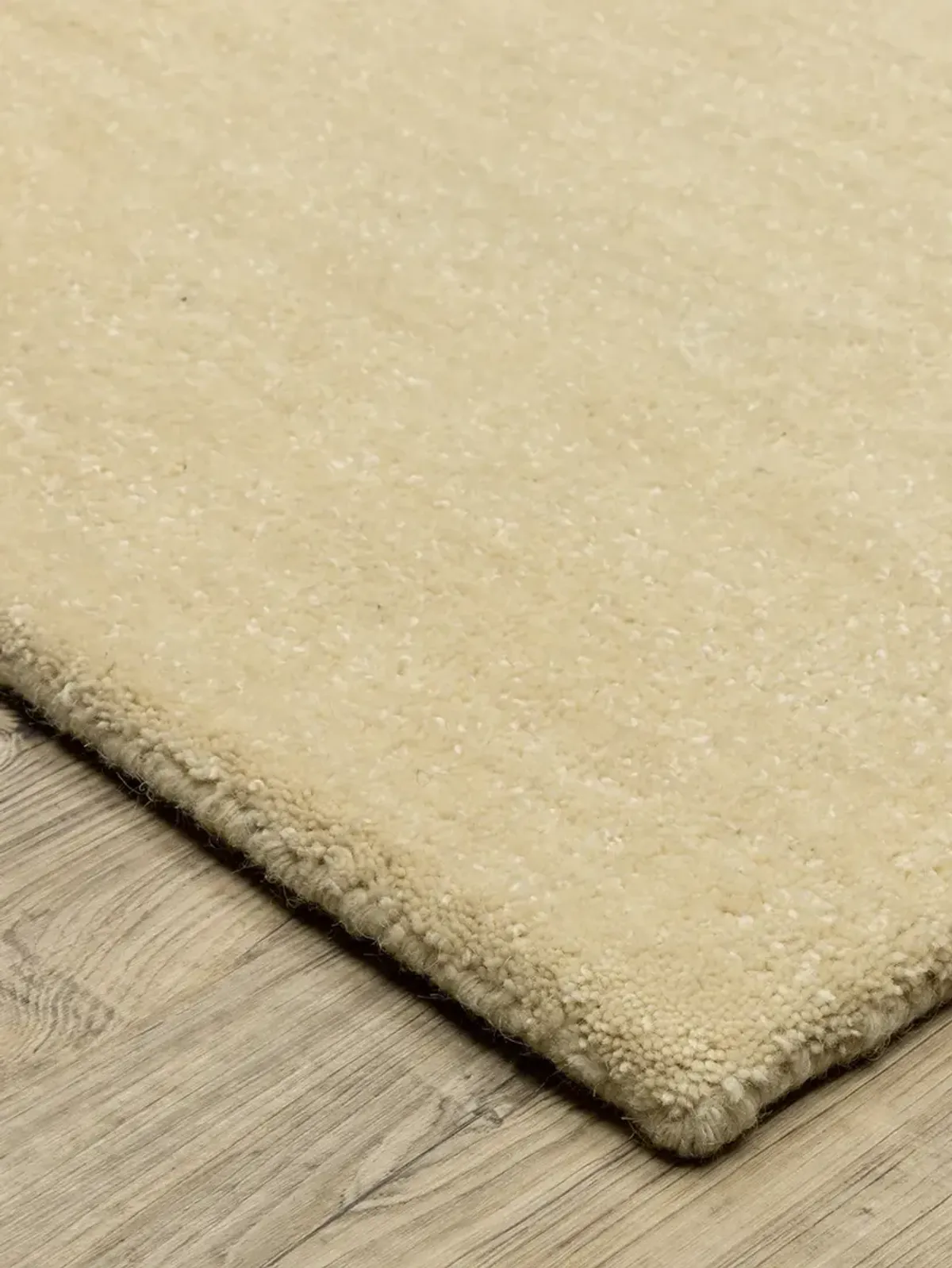 Aniston II 2'6" x 8' Beige Rug