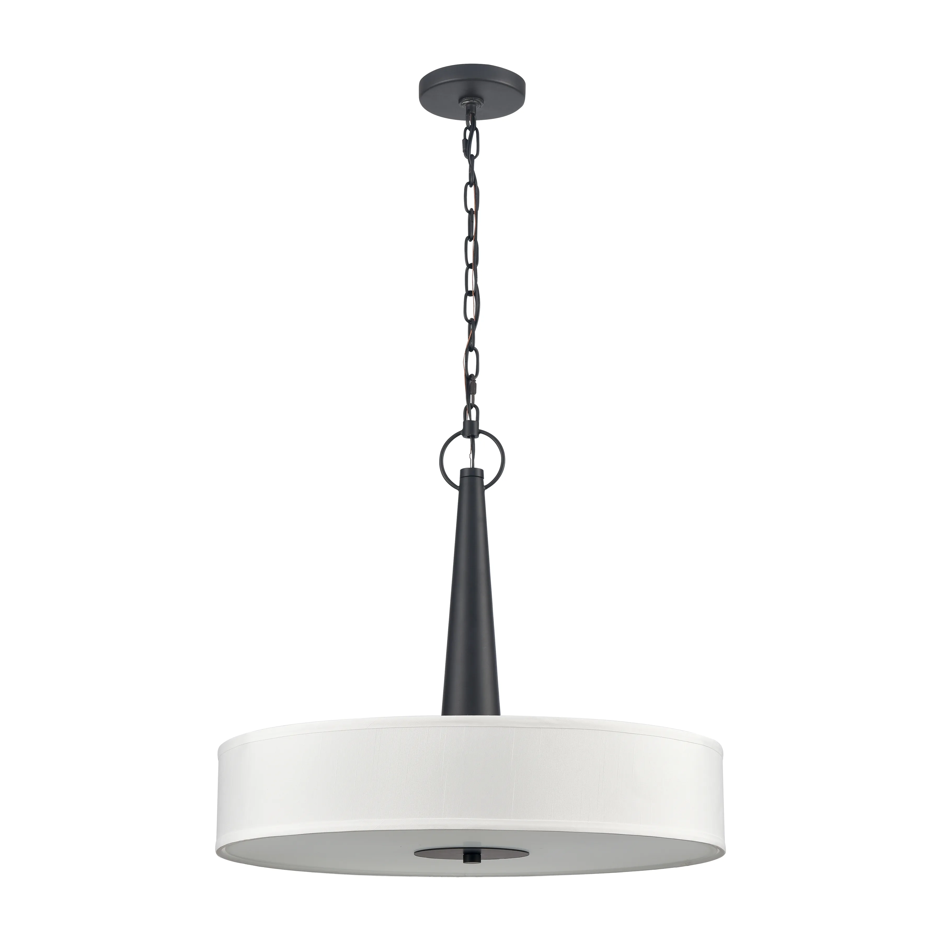 Leo 22'' Wide Black 4-Light Pendant