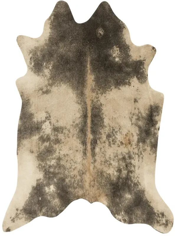 Grand Canyon Beige/Ash 3'10" x 5' Rug