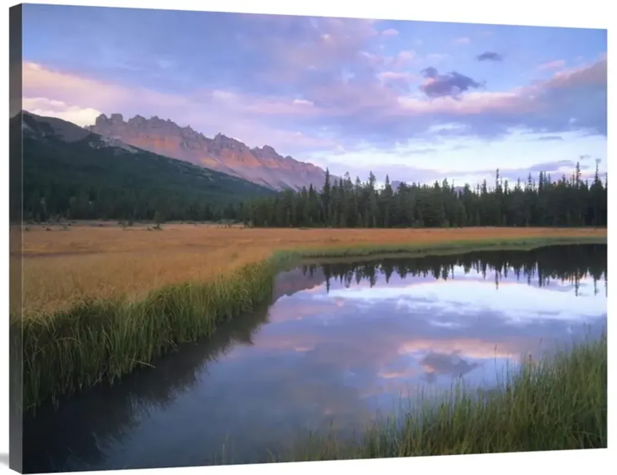 Dolomite Peak and Bow River backwaters, Banff National Park, Alberta-Canvas Art-40x30