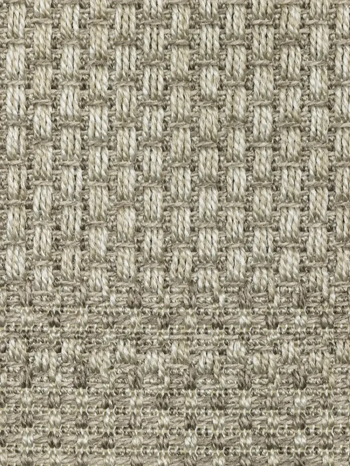 Caicos 1'10" x 7'6" Grey Rug