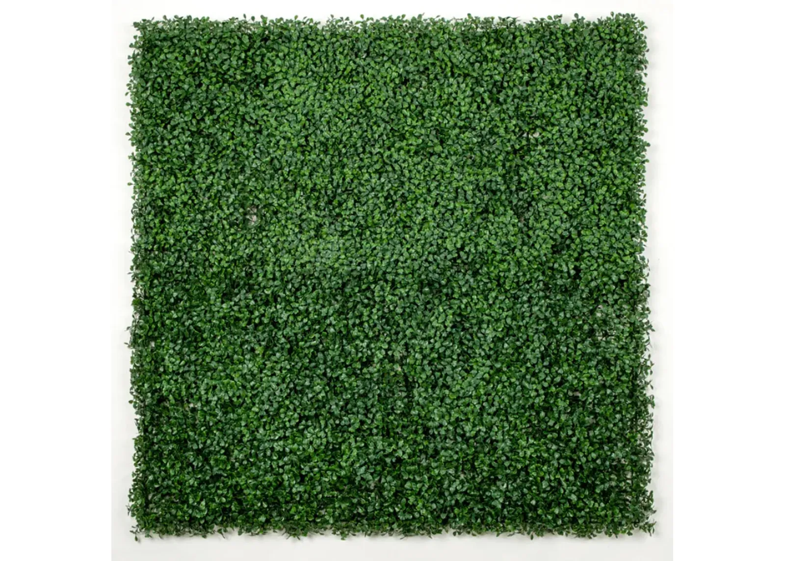 Dark Artificial Boxwood Wall (6 Pieces 40" x 40") 66 SQ FT Set Commercial Grade UV Resistant